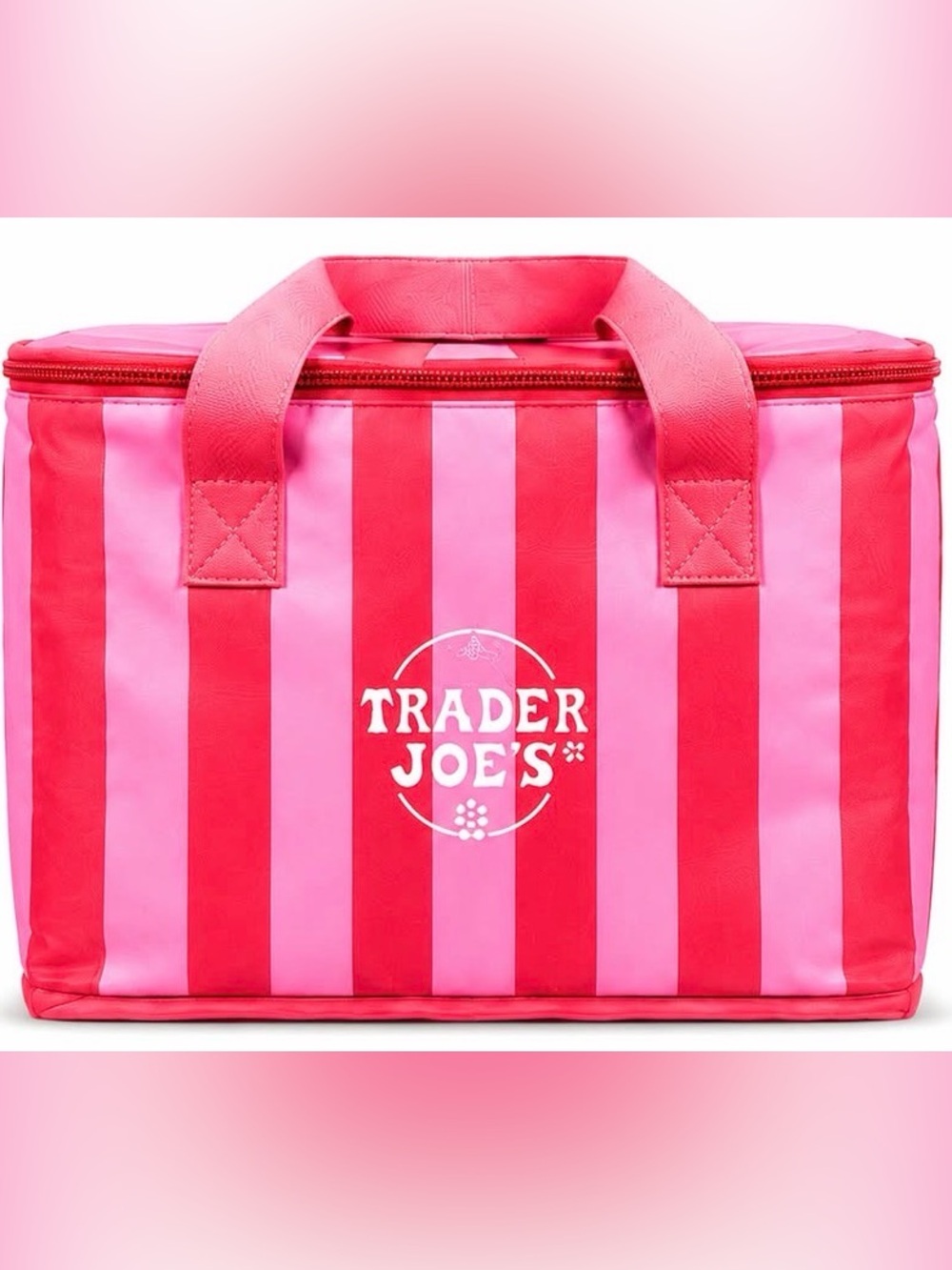 Trader Joe's mini insulated Pink & Red Striped Tote Bag